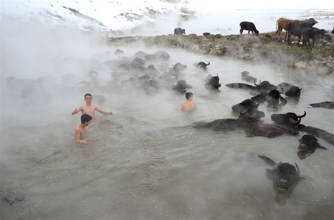 -20 derecede kaplıca sefası! Bin manda stres atıyor 17