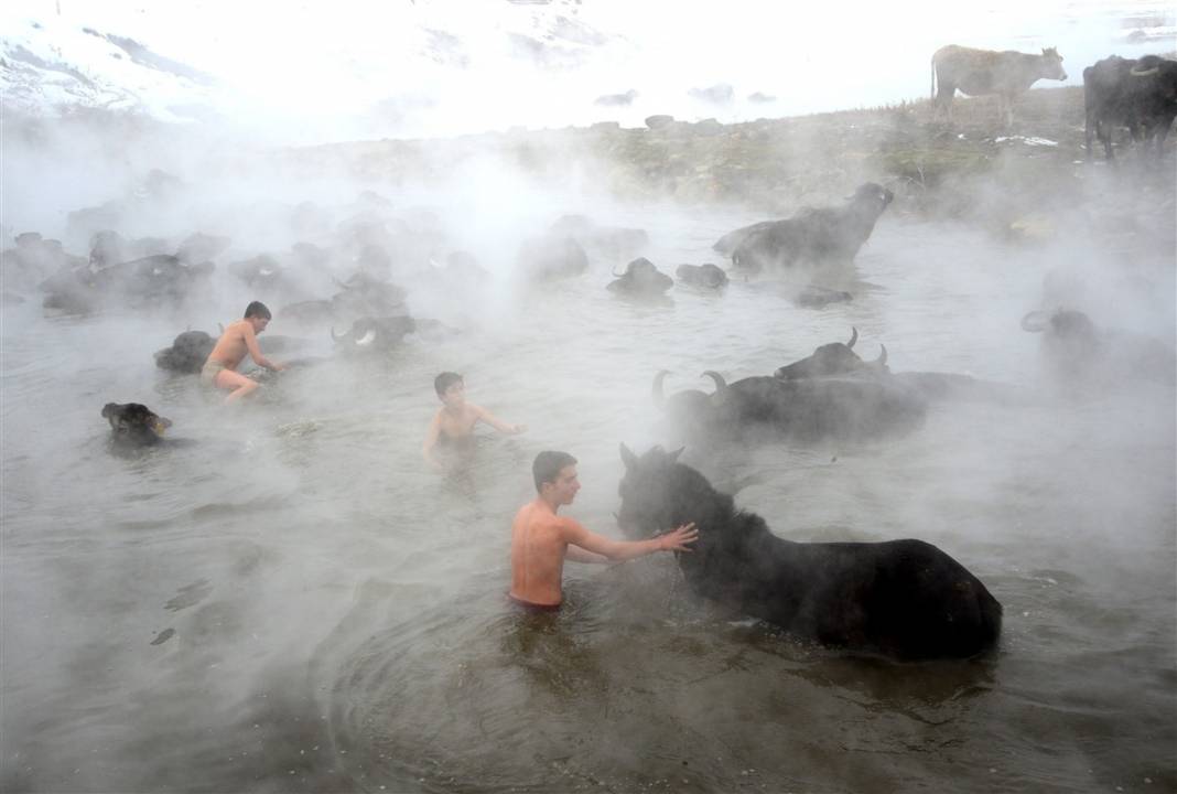 -20 derecede kaplıca sefası! Bin manda stres atıyor 19