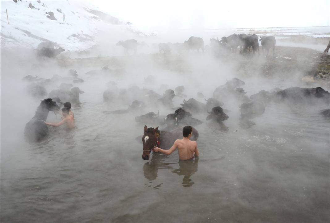 -20 derecede kaplıca sefası! Bin manda stres atıyor 21