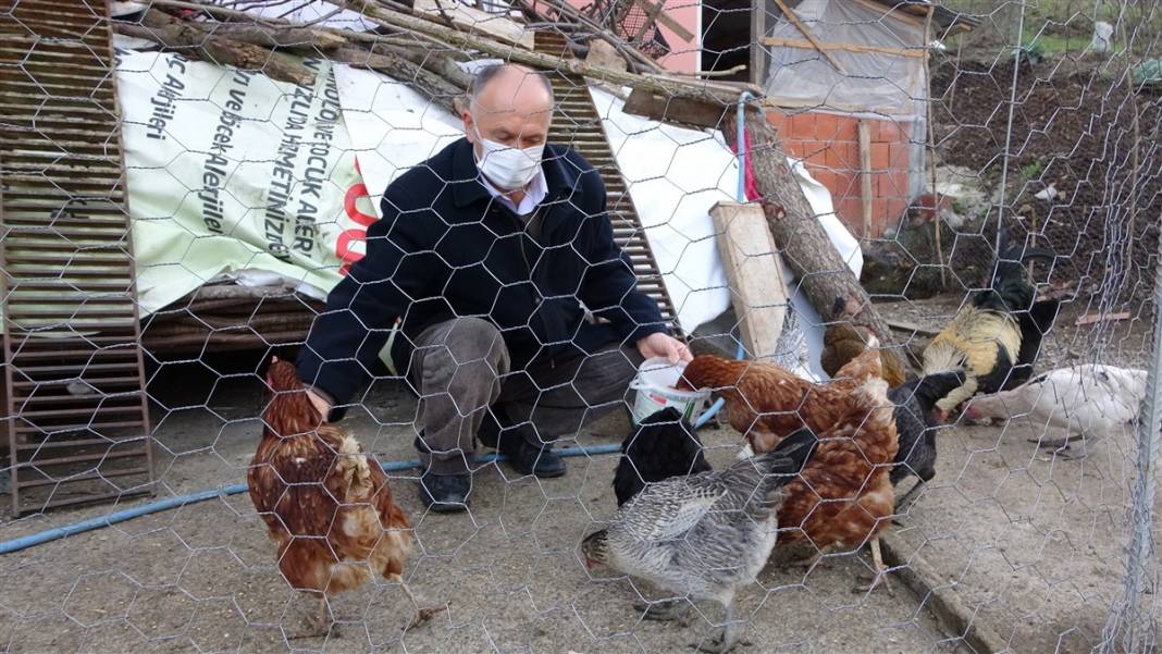 Böylesi görülmedi! Komşu kavgasına 'tavuk tüneli' 8