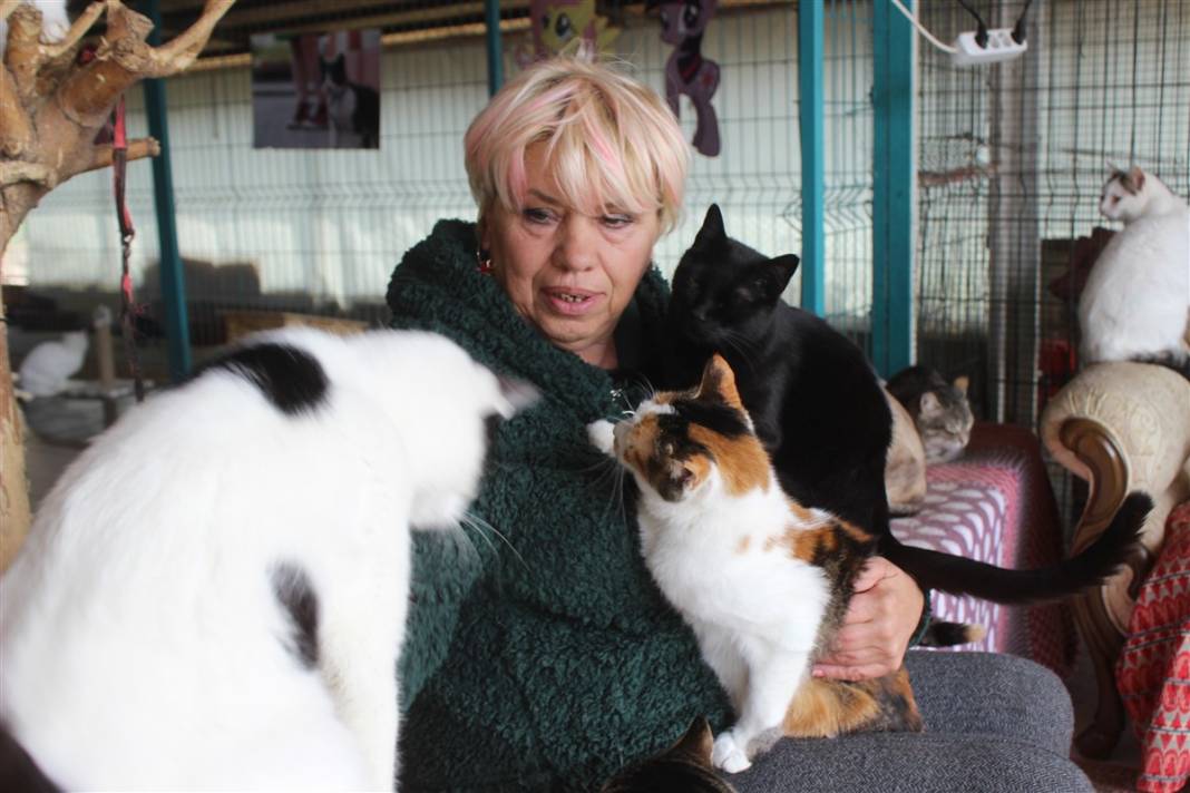 Tam 250 kediye annelik yapıyor 10