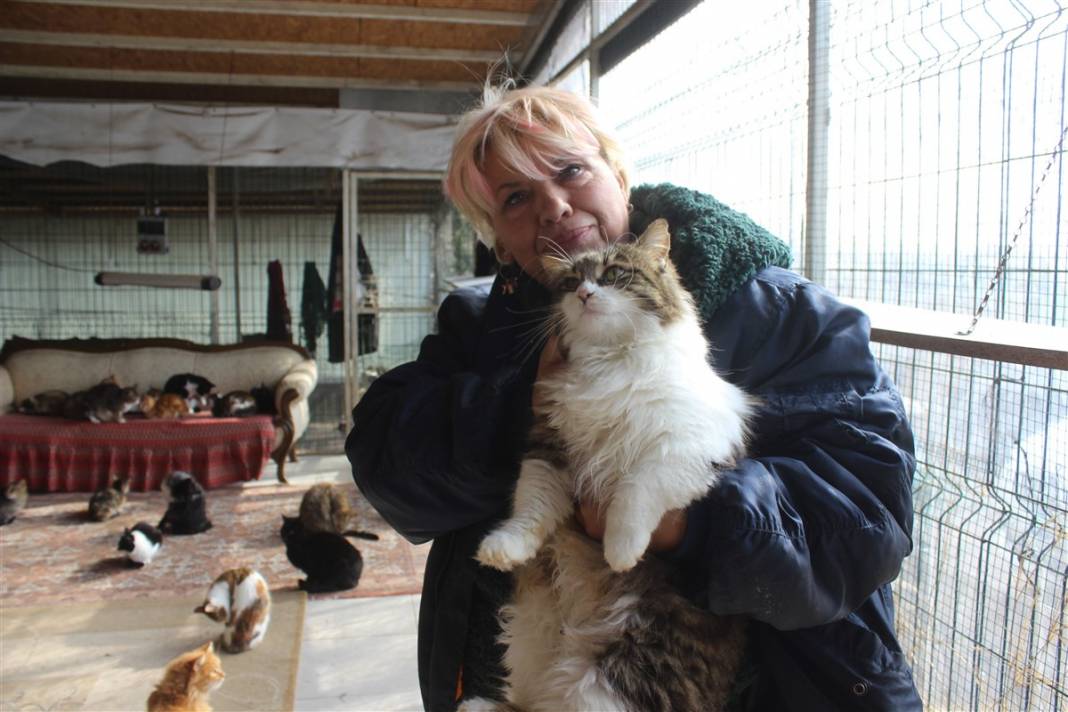 Tam 250 kediye annelik yapıyor 17