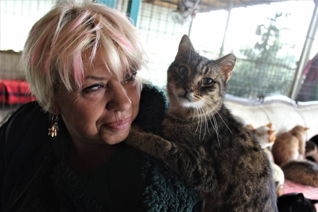 Tam 250 kediye annelik yapıyor 18