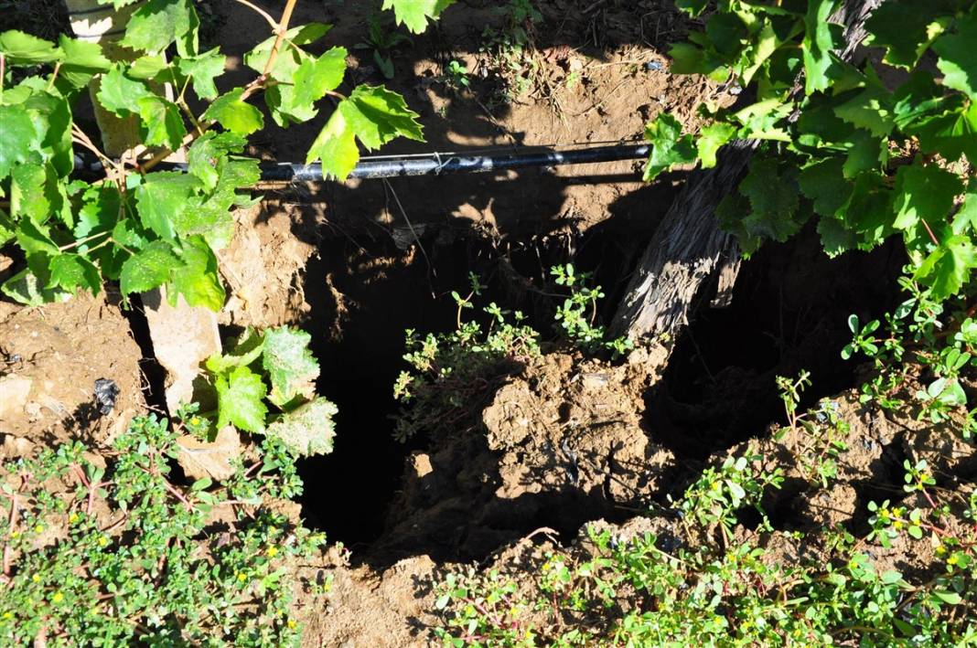 Deprem Araştırma ve Uygulama Merkezi tetikte! Selden sonra  üzüm bağları saniye saniye izleniyor 4