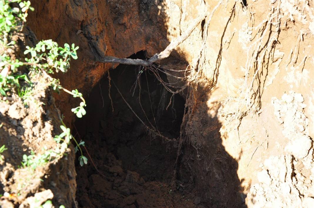 Deprem Araştırma ve Uygulama Merkezi tetikte! Selden sonra  üzüm bağları saniye saniye izleniyor 5