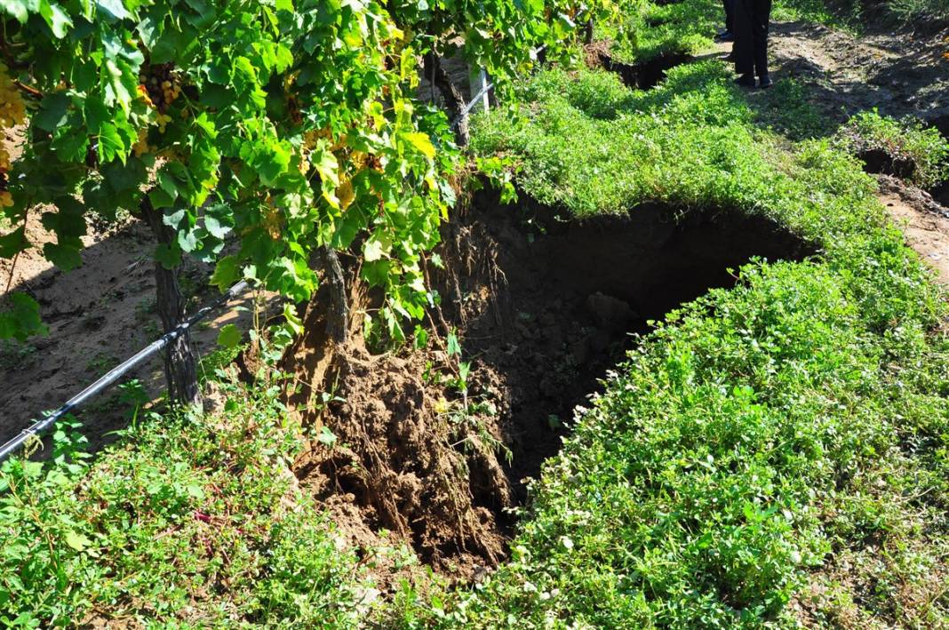 Deprem Araştırma ve Uygulama Merkezi tetikte! Selden sonra  üzüm bağları saniye saniye izleniyor 7
