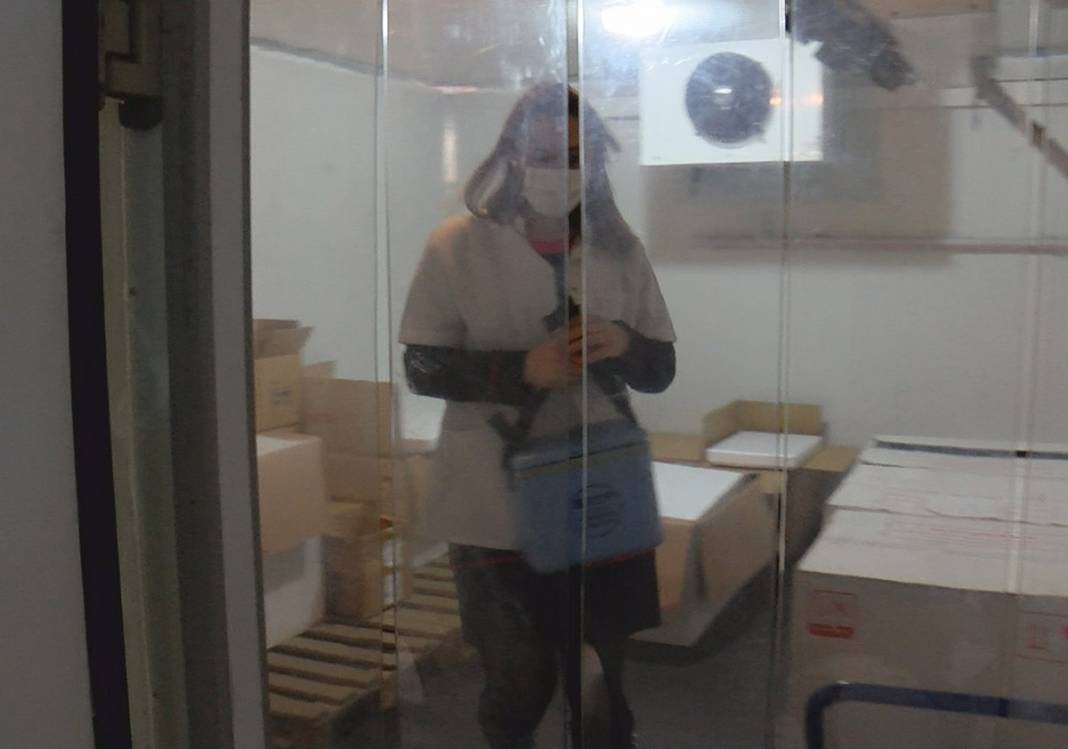 Filyasyon ekipleri teyakkuzda! Mutant virüs her şeyi değiştirdi 10