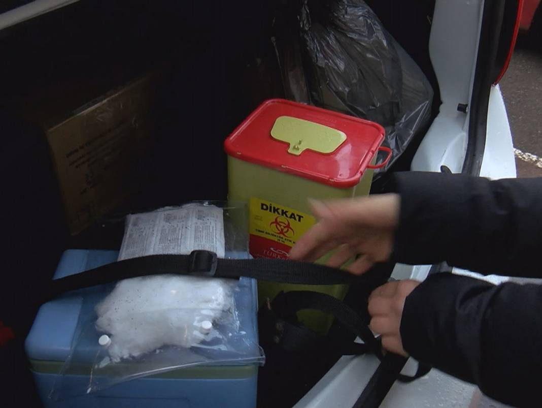 Filyasyon ekipleri teyakkuzda! Mutant virüs her şeyi değiştirdi 13