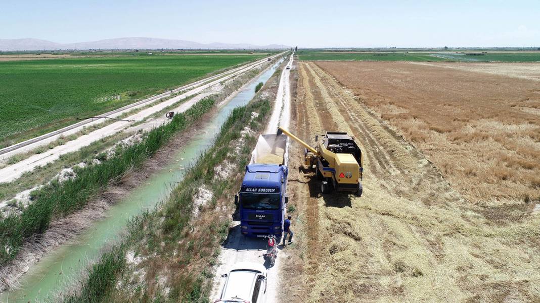 Türkiye'nin tahıl ambarı kuruyor! 1
