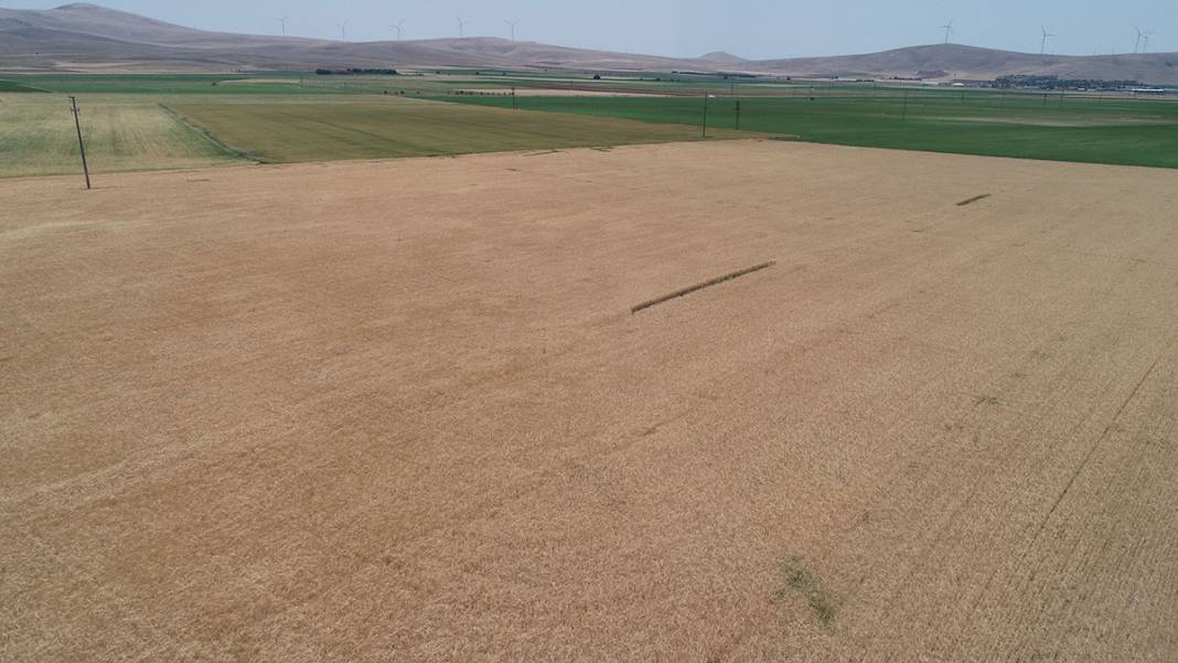 Türkiye'nin tahıl ambarı kuruyor! 10