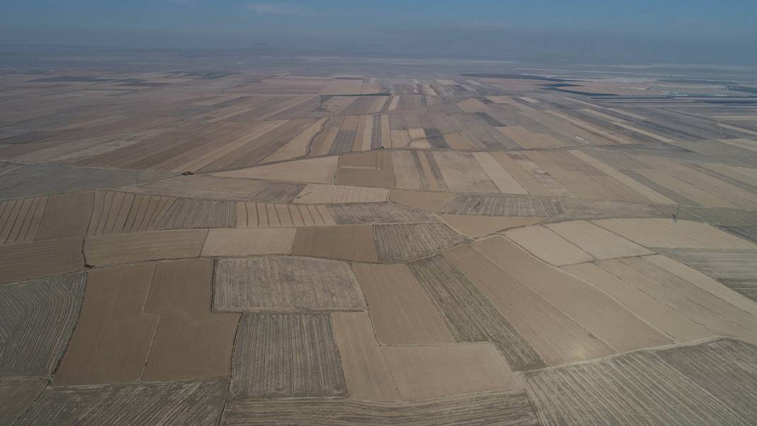 Türkiye'nin tahıl ambarı kuruyor! 11