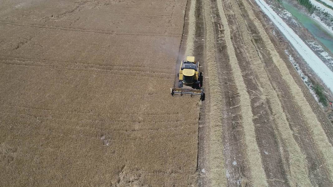 Türkiye'nin tahıl ambarı kuruyor! 3