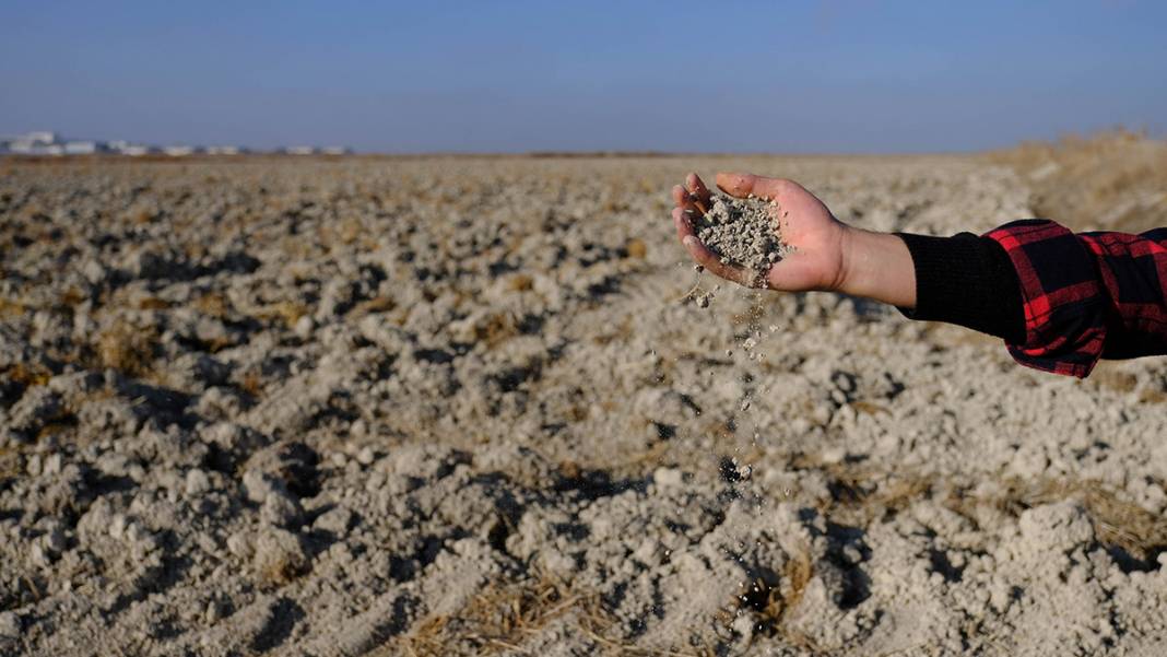 Türkiye'nin tahıl ambarı kuruyor! 4