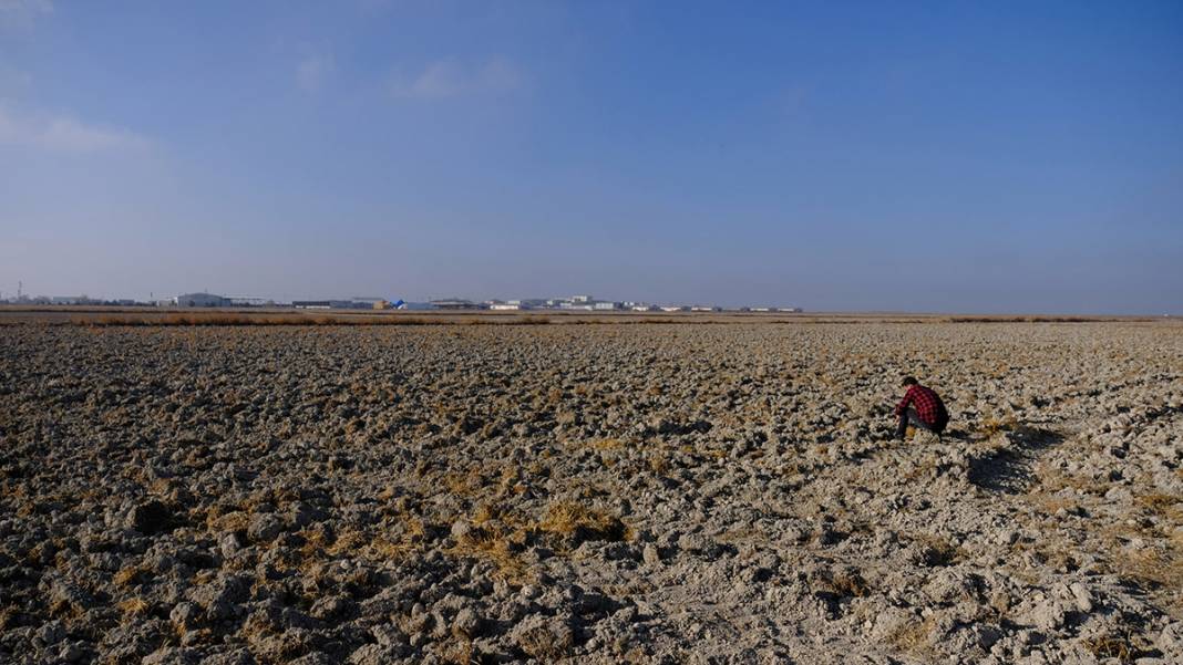 Türkiye'nin tahıl ambarı kuruyor! 6