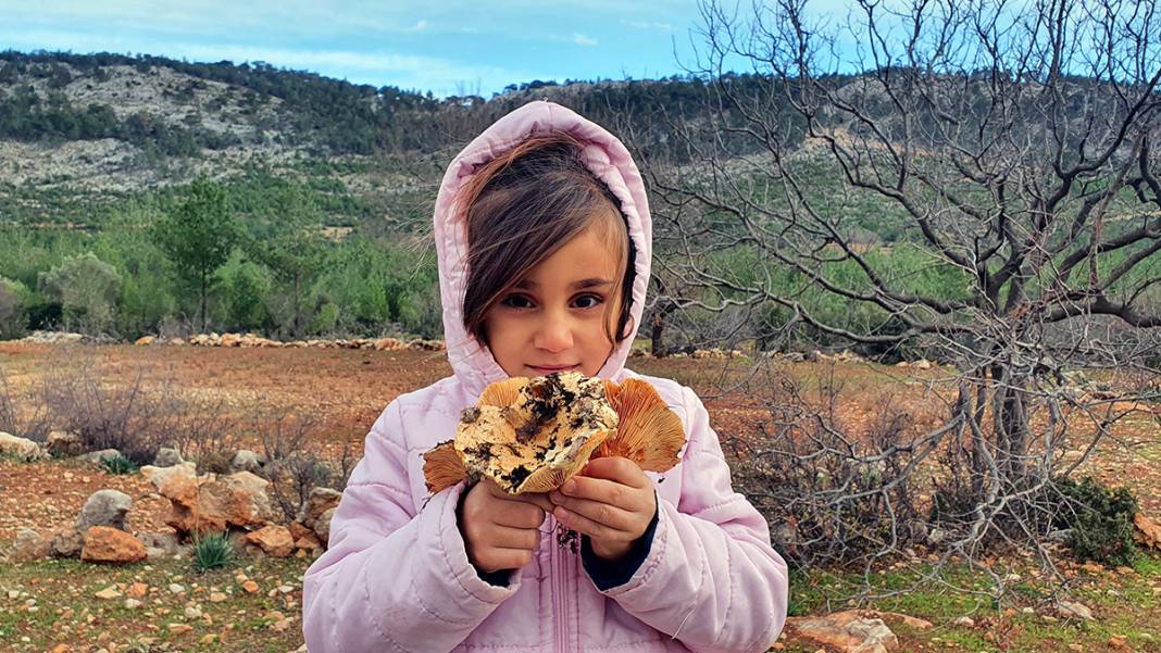 Yağmurdan sonra ortaya çıkıyor! Taksiyle toplamaya gidiyorlar... 1