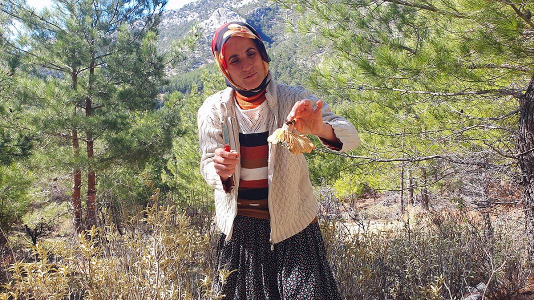 Yağmurdan sonra ortaya çıkıyor! Taksiyle toplamaya gidiyorlar... 3