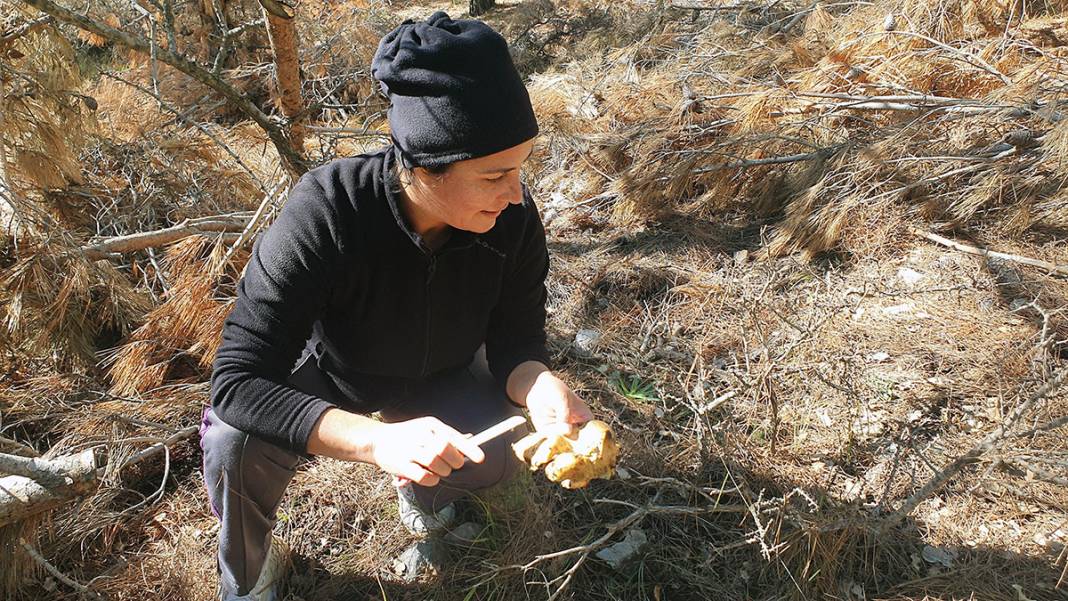 Yağmurdan sonra ortaya çıkıyor! Taksiyle toplamaya gidiyorlar... 4