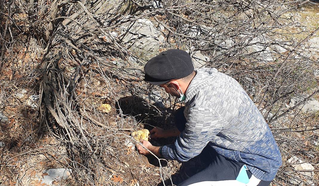 Yağmurdan sonra ortaya çıkıyor! Taksiyle toplamaya gidiyorlar... 5