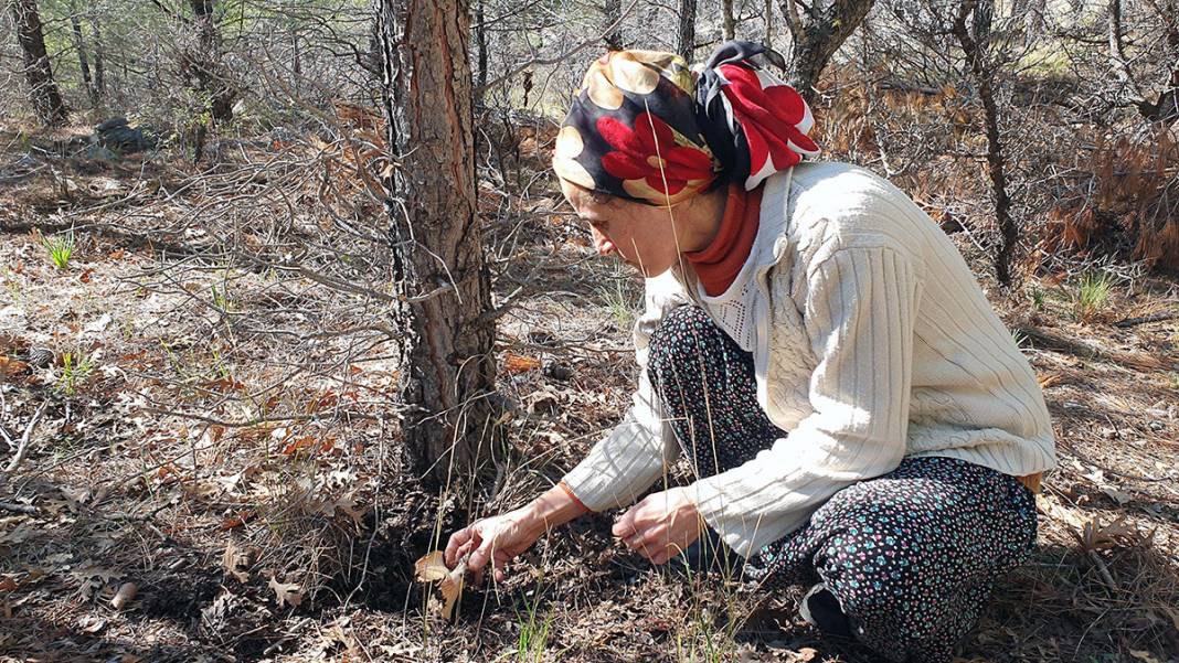 Yağmurdan sonra ortaya çıkıyor! Taksiyle toplamaya gidiyorlar... 6