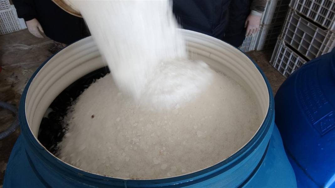 Zeytinde akla zarar hileler! Özellikle çocuklara yedirmeyin... 13