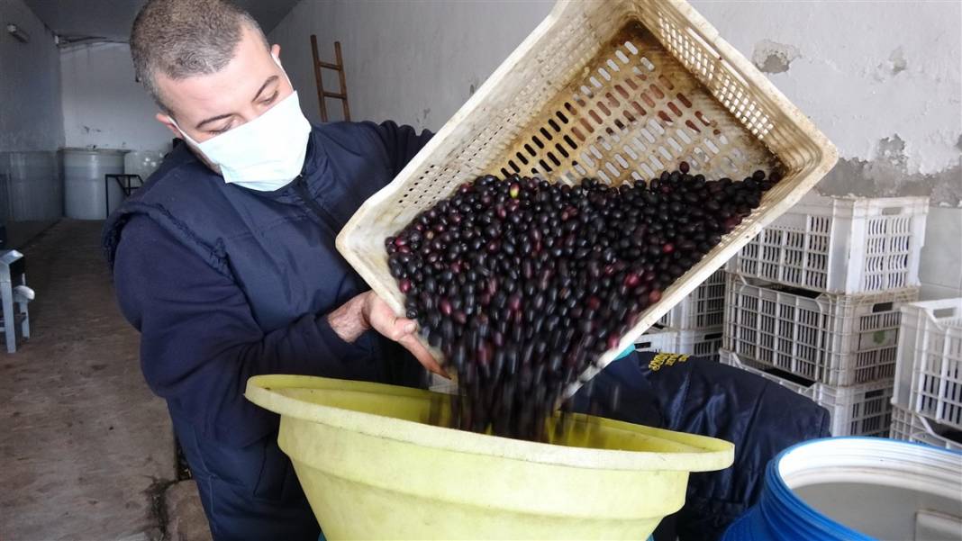 Zeytinde akla zarar hileler! Özellikle çocuklara yedirmeyin... 6