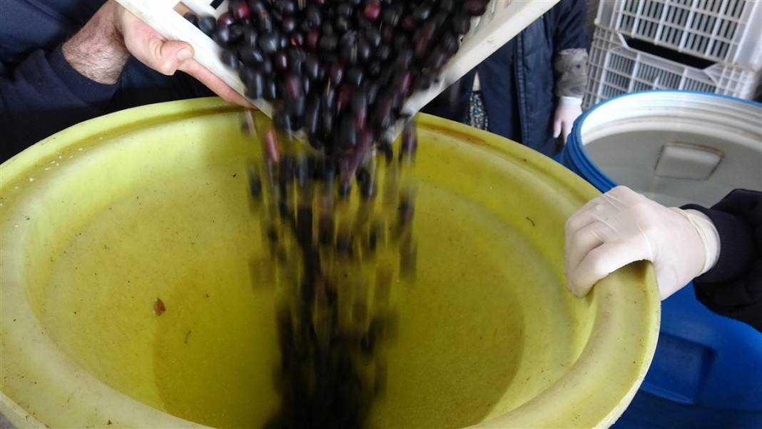 Zeytinde akla zarar hileler! Özellikle çocuklara yedirmeyin... 9