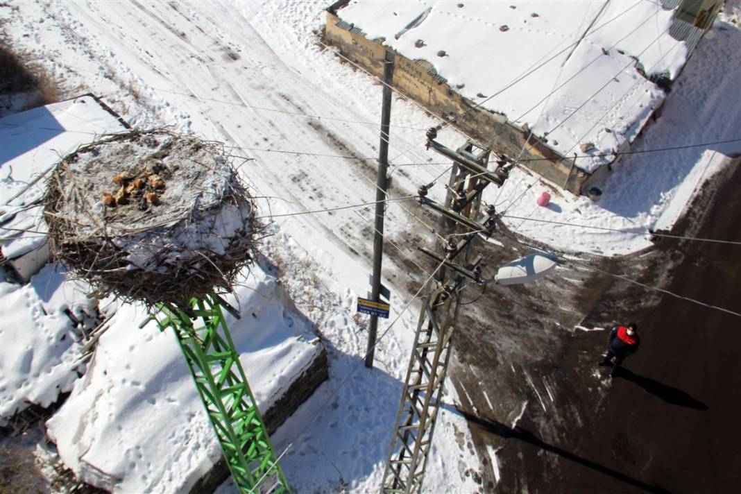 Kar ve buzdan temizledikleri yuvaya ekmek bıraktılar 1