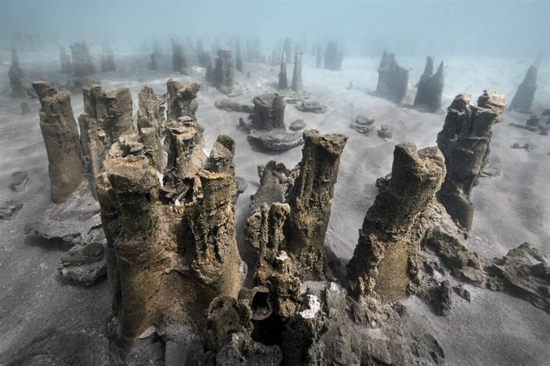 Van Gölü'nde mucize: Yüz binlerce yıl sonra ilk kez insanoğlu ile karşılaştı 1