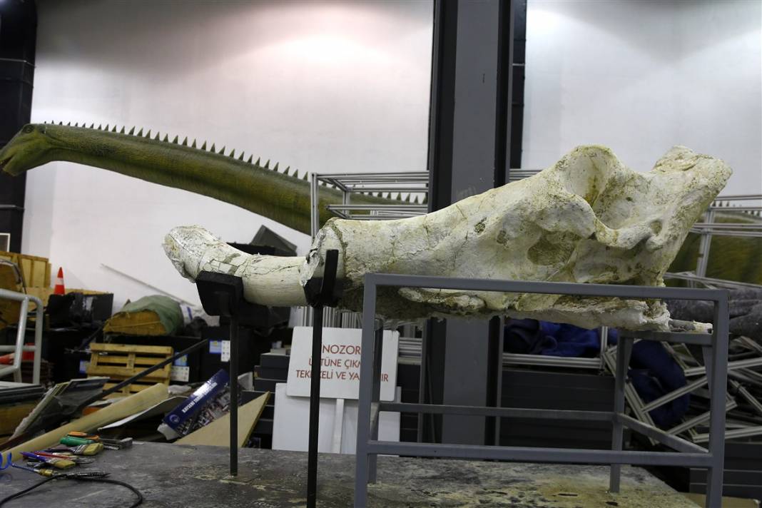 Yer: Kayseri... 8 milyon yıllık sır ortaya çıktı 1