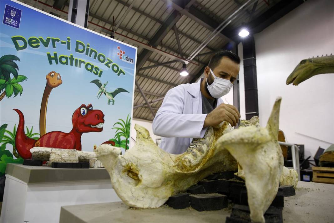 Yer: Kayseri... 8 milyon yıllık sır ortaya çıktı 2