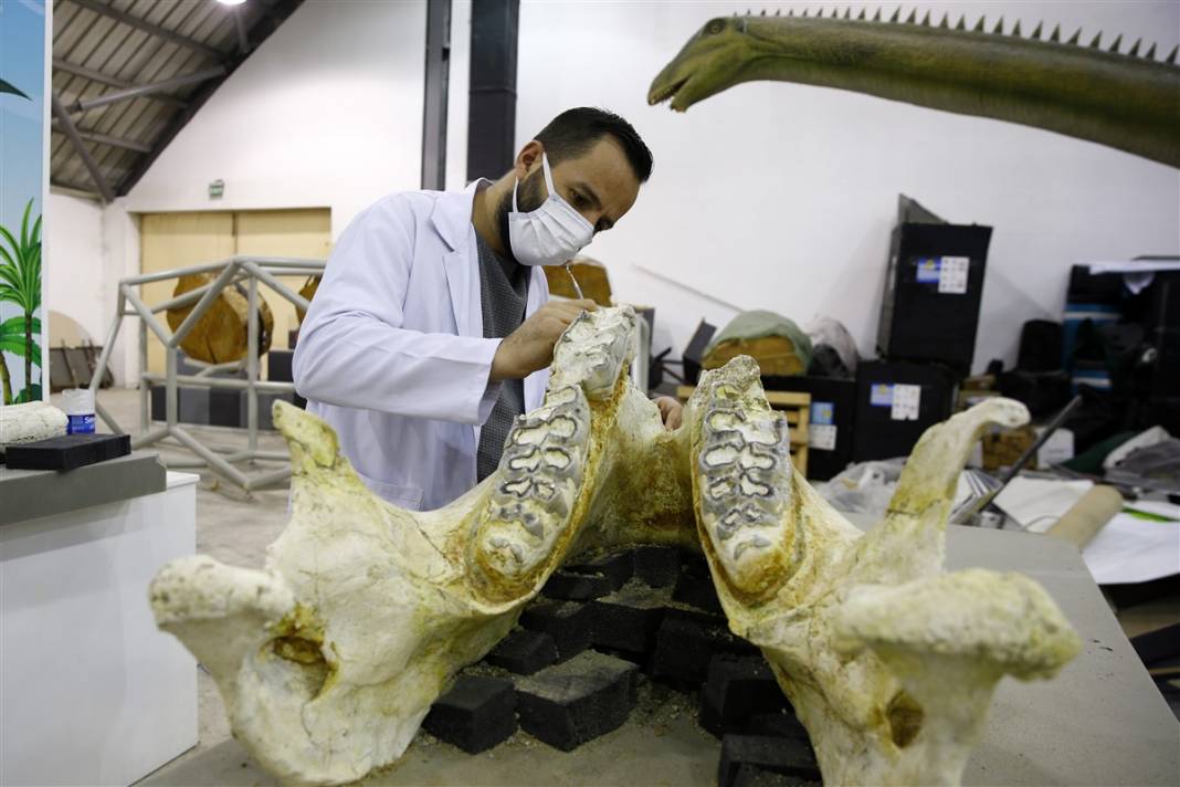 Yer: Kayseri... 8 milyon yıllık sır ortaya çıktı 3