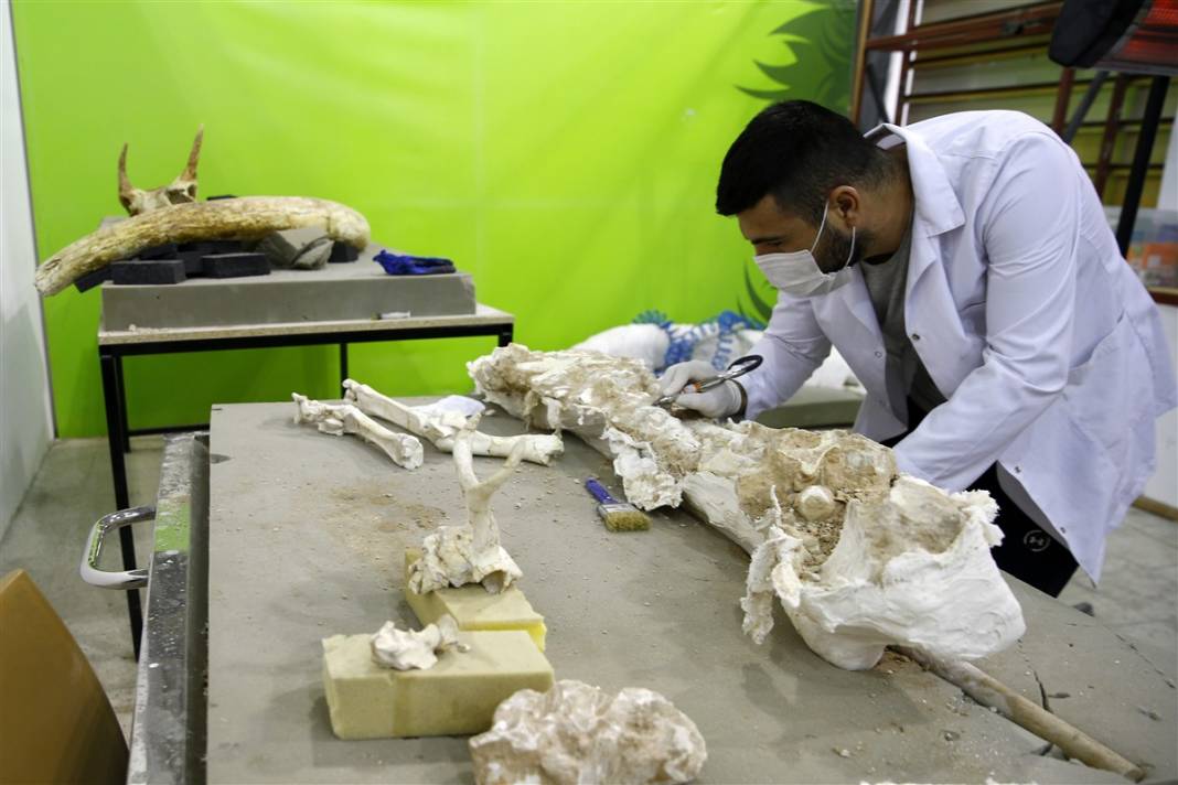 Yer: Kayseri... 8 milyon yıllık sır ortaya çıktı 4