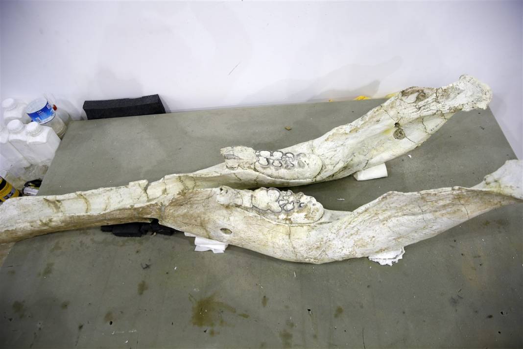 Yer: Kayseri... 8 milyon yıllık sır ortaya çıktı 5