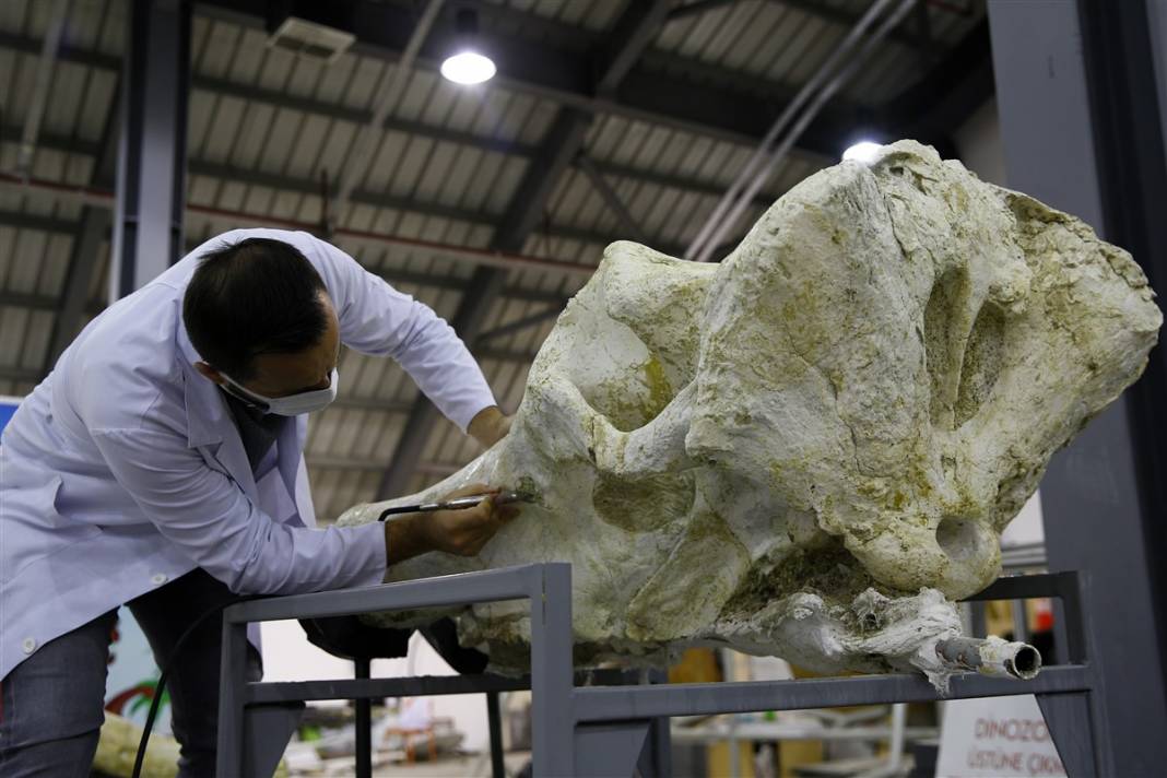 Yer: Kayseri... 8 milyon yıllık sır ortaya çıktı 6