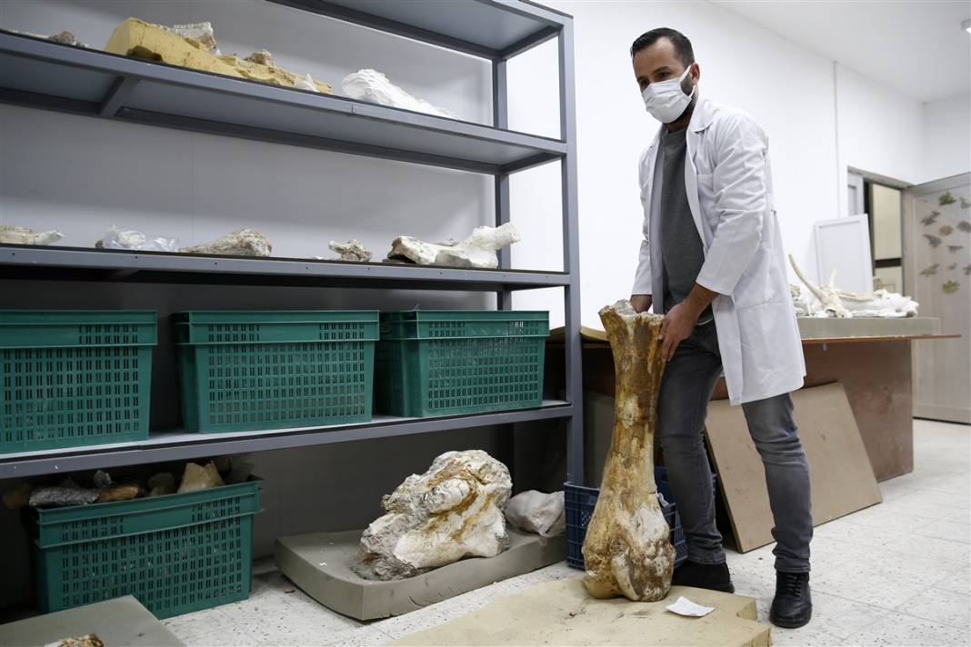 Yer: Kayseri... 8 milyon yıllık sır ortaya çıktı 8