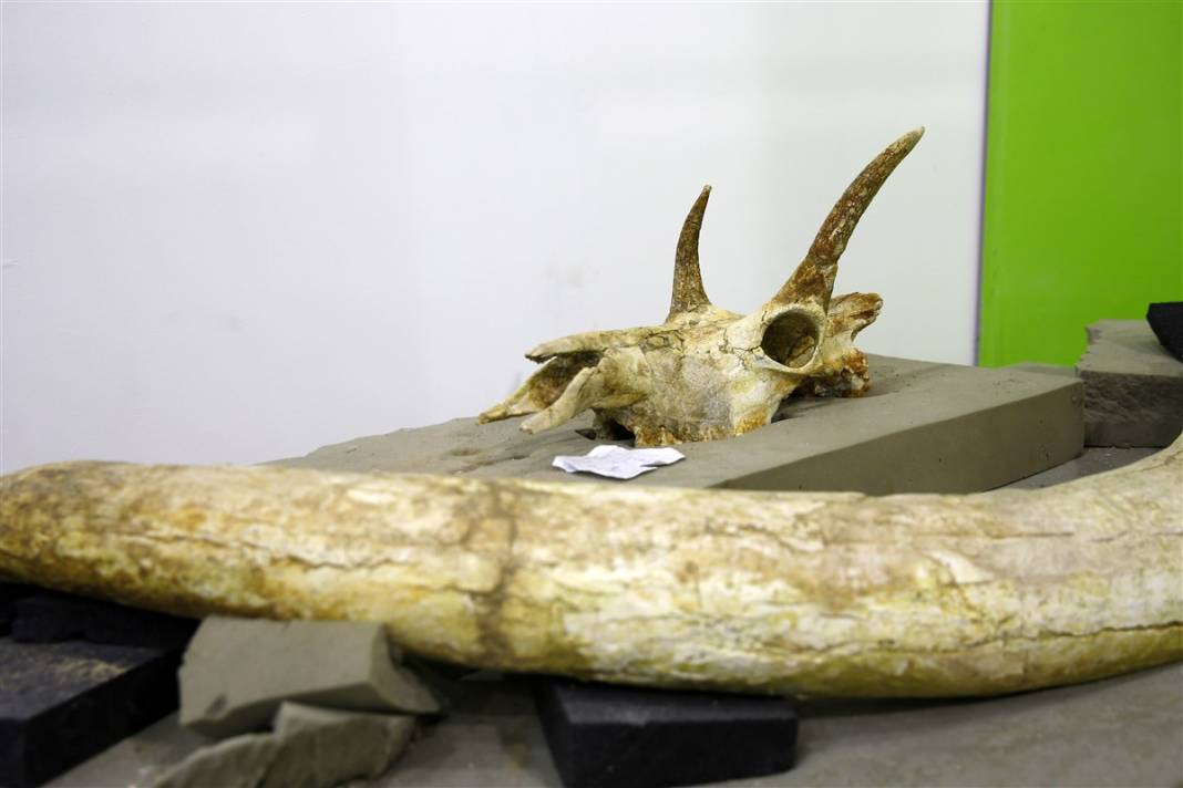 Yer: Kayseri... 8 milyon yıllık sır ortaya çıktı 12