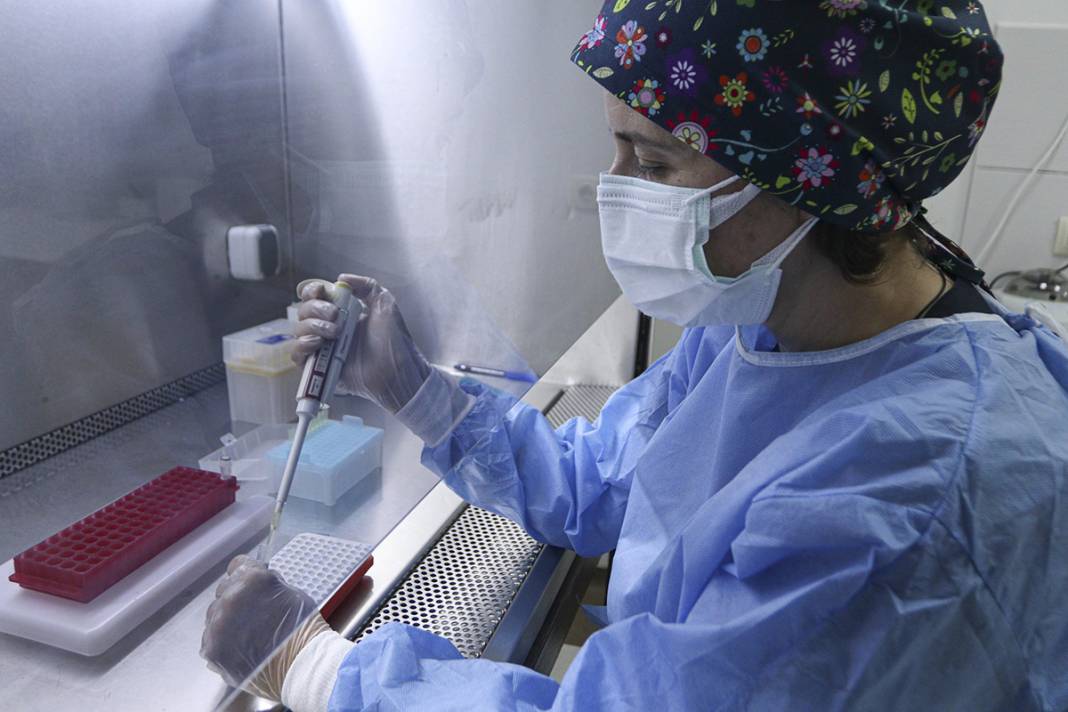 Bir sonraki pandemi bu hayvanlardan çıkacak! 3