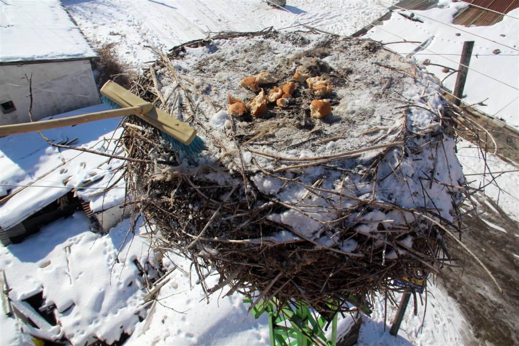 Kar ve buzdan temizledikleri yuvaya ekmek bıraktılar 3