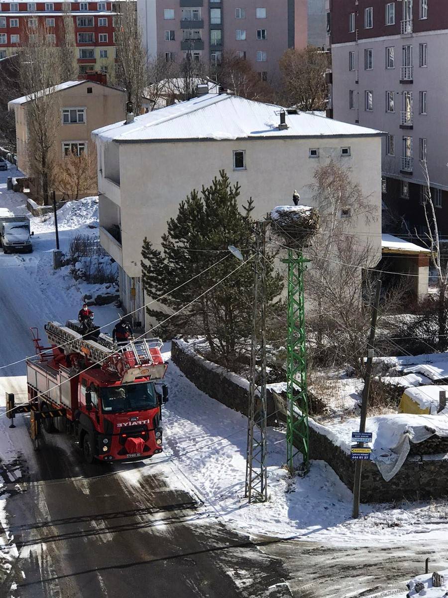 Kar ve buzdan temizledikleri yuvaya ekmek bıraktılar 7