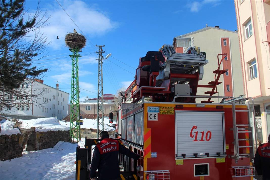 Kar ve buzdan temizledikleri yuvaya ekmek bıraktılar 5
