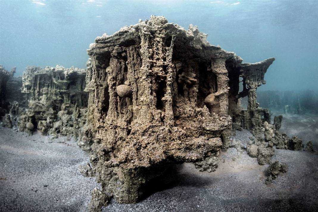 Van Gölü'nde mucize: Yüz binlerce yıl sonra ilk kez insanoğlu ile karşılaştı 4