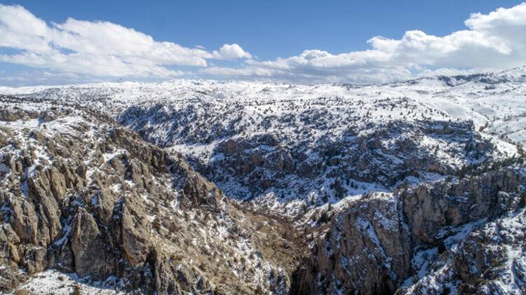 Torosların zirvesinde buldu! 98 milyon yıllık deniz canlısı fosili 13