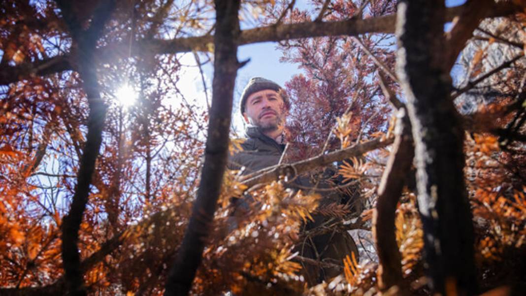 Torosların zirvesinde buldu! 98 milyon yıllık deniz canlısı fosili 14
