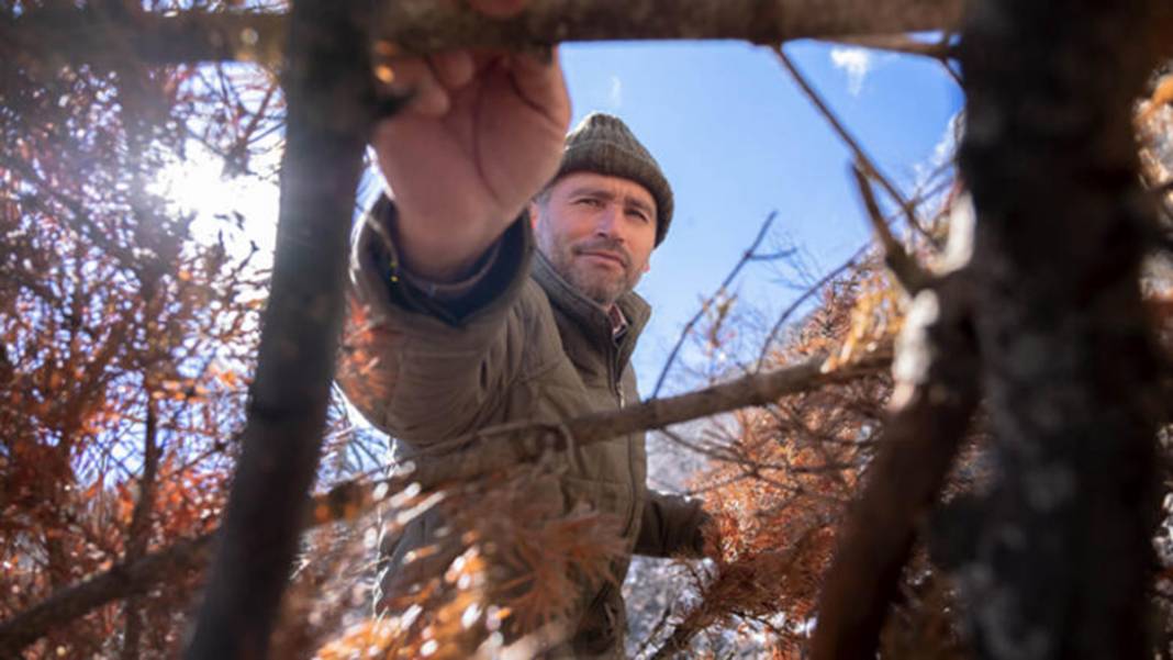 Torosların zirvesinde buldu! 98 milyon yıllık deniz canlısı fosili 15