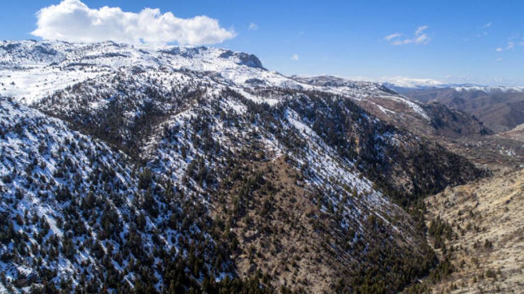 Torosların zirvesinde buldu! 98 milyon yıllık deniz canlısı fosili 2