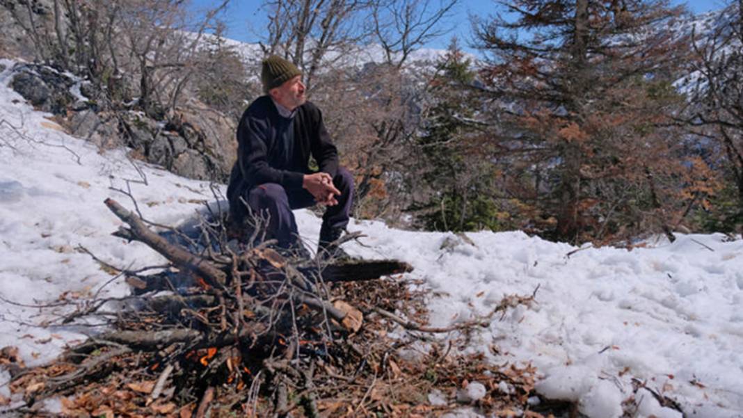 Torosların zirvesinde buldu! 98 milyon yıllık deniz canlısı fosili 3