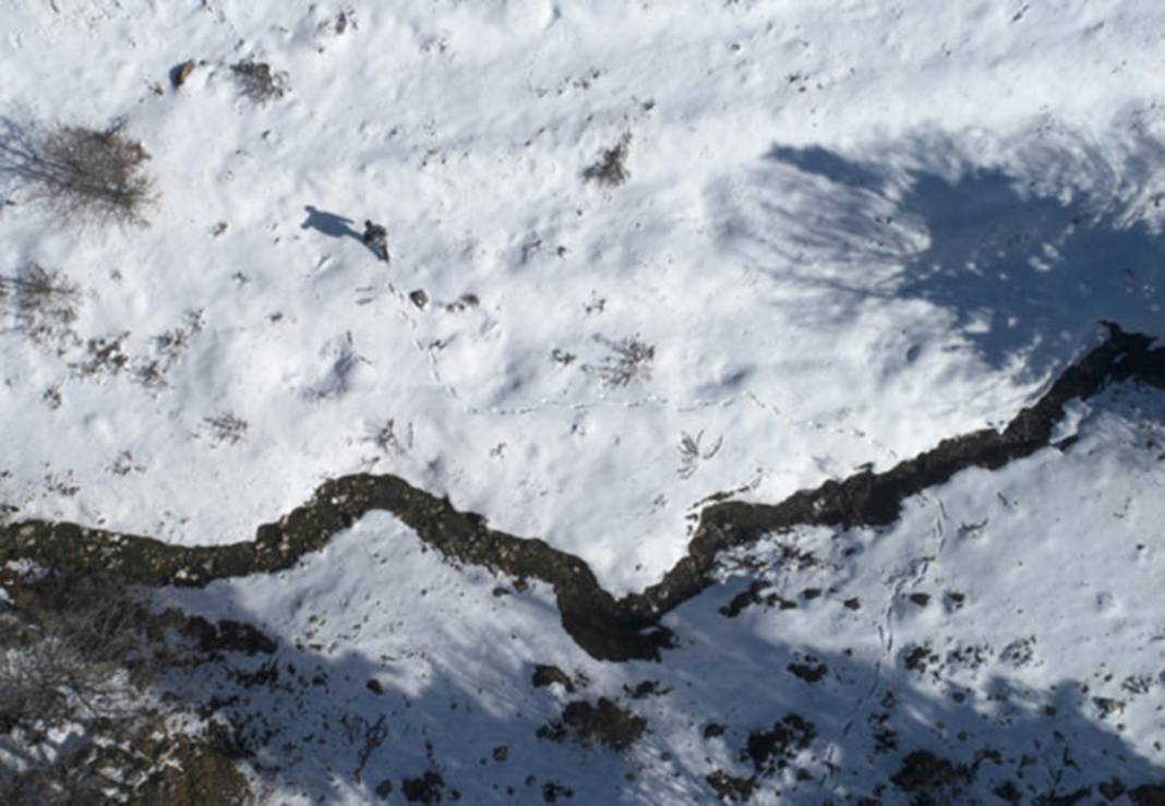 Torosların zirvesinde buldu! 98 milyon yıllık deniz canlısı fosili 7