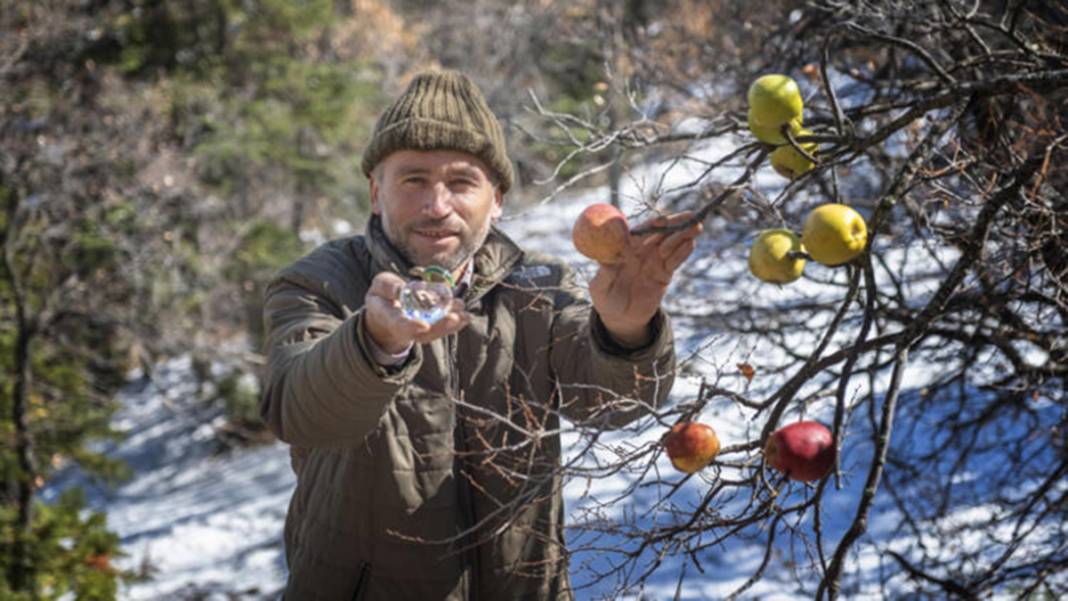 Torosların zirvesinde buldu! 98 milyon yıllık deniz canlısı fosili 8