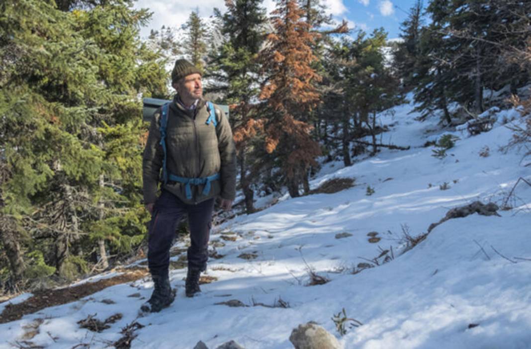 Torosların zirvesinde buldu! 98 milyon yıllık deniz canlısı fosili 9