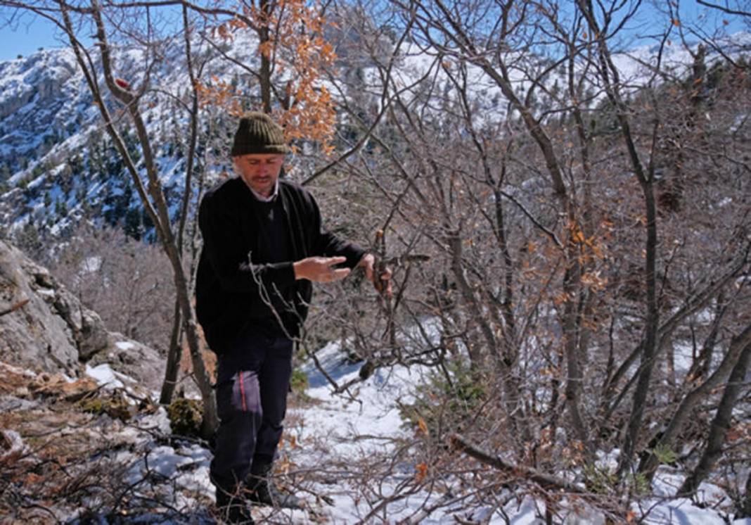 Torosların zirvesinde buldu! 98 milyon yıllık deniz canlısı fosili 10